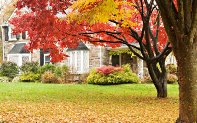 Is Lawn Care in the Fall Necessary?