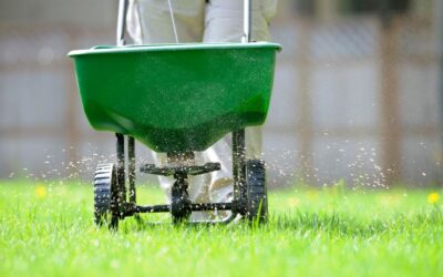 Spring Lawn Care Guide for Norwalk Homeowners 